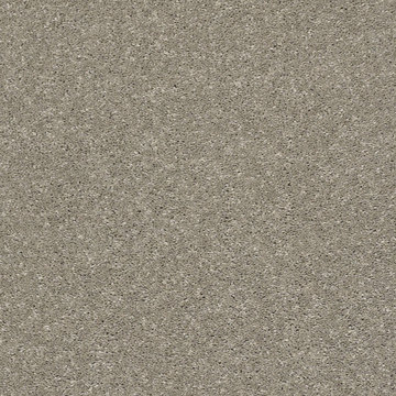 image Shaw After All I - Rustic Taupe