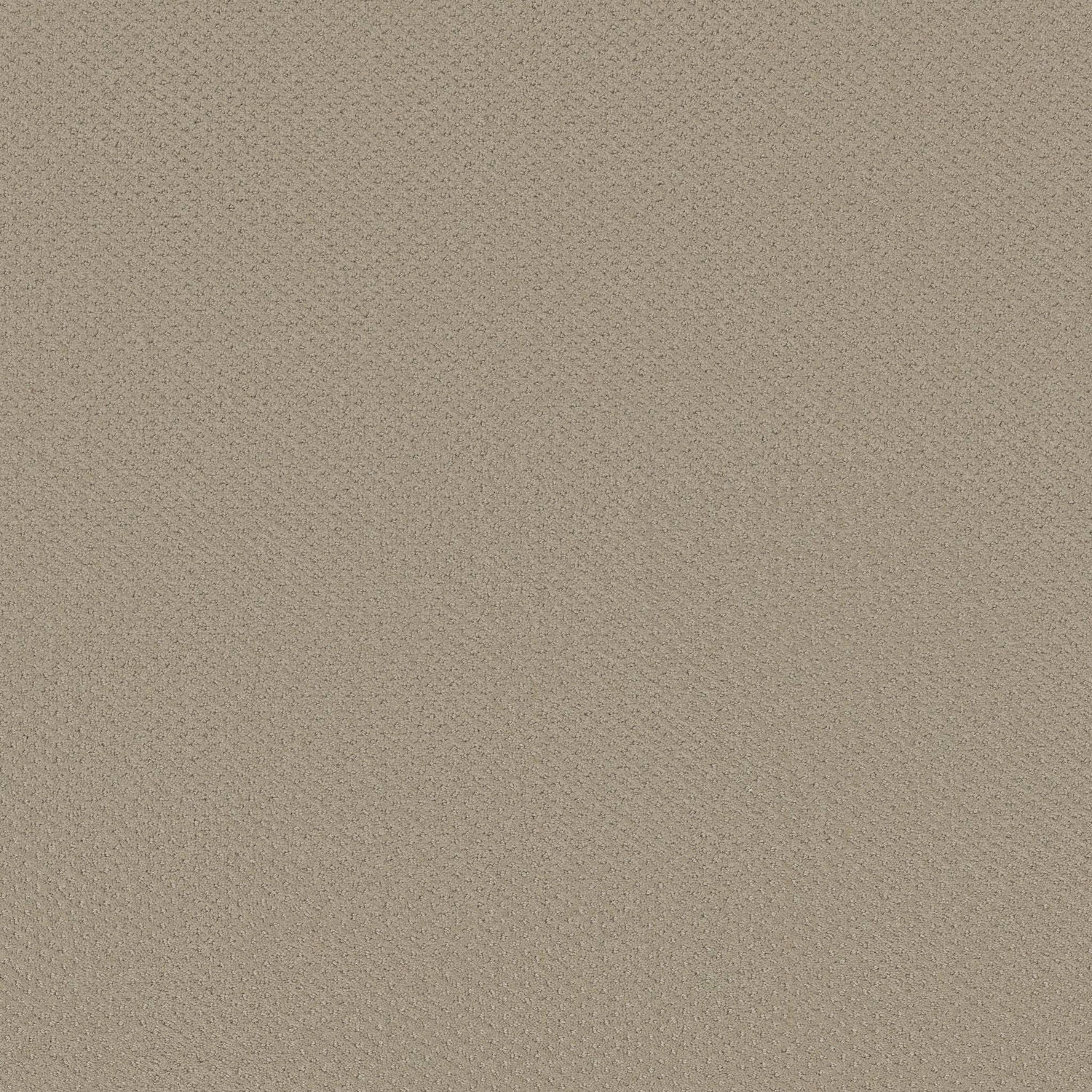 Shaw Infallible Instinct - Studio Taupe