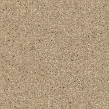 image Shaw Perpetual Move - Espresso