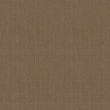 Shaw Essential Now - Raw Wood