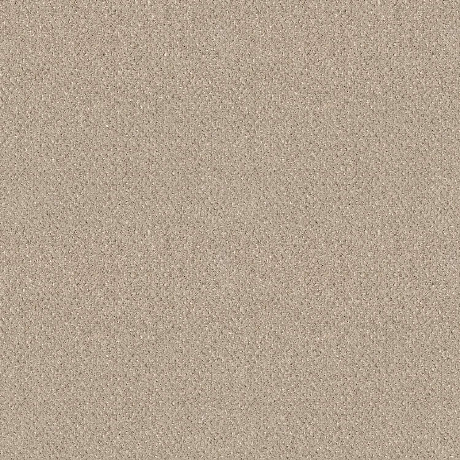 Shaw Mainstay - Butter Cream