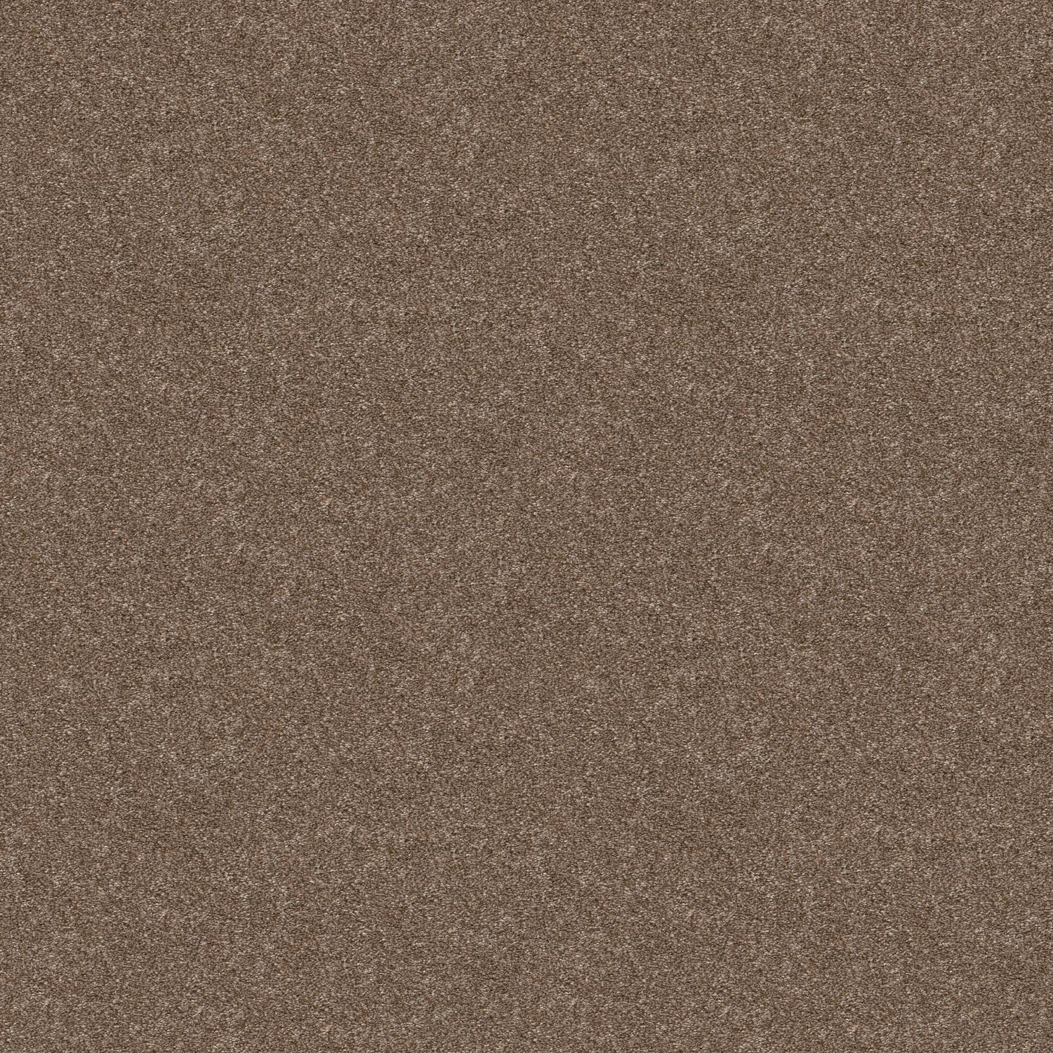 Shaw Just A Hint II - Bronze