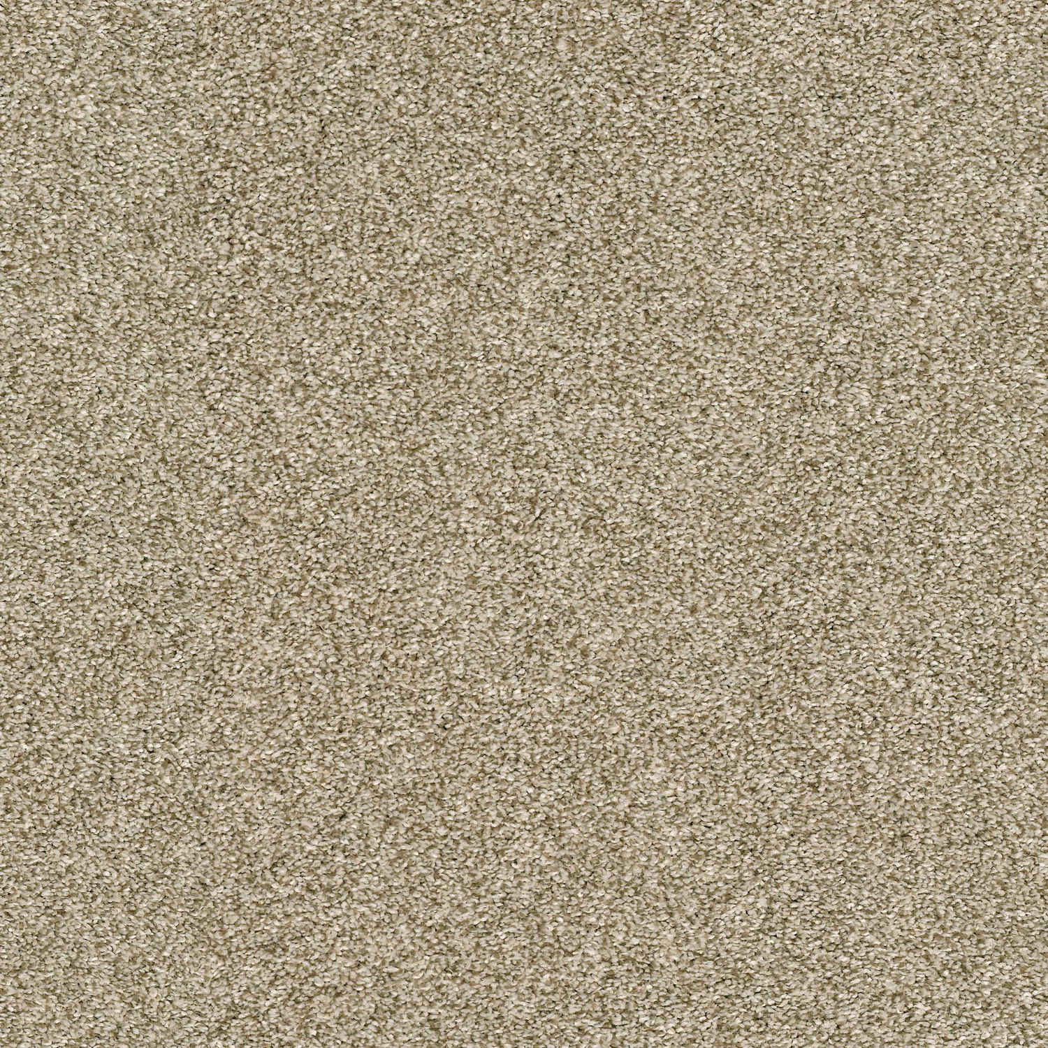 Shaw Just A Hint II - Khaki