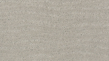 Anderson Tuftex Pose - Gentle Gray