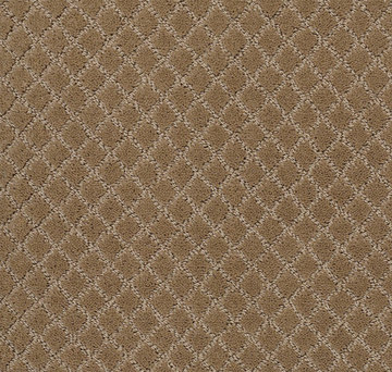 image Anderson Tuftex Pawnache - Peanut Shell