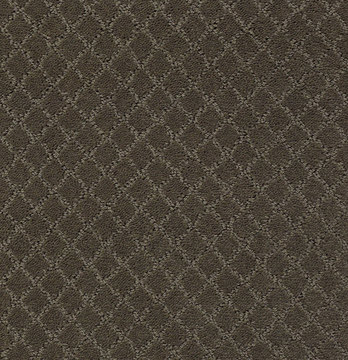 image Anderson Tuftex Pawnache - Overcoat