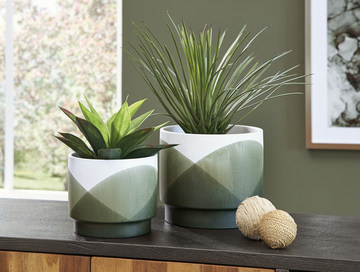 Set/2 Arcadrige Planters