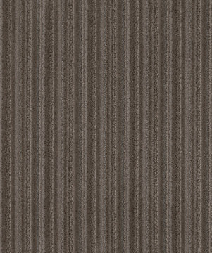 Anderson Tuftex Wizard Of Paws - Bear In Mind