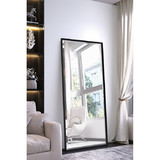 Dressed-Up Mirror thumbnail 2