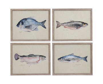 Catch Of The Day - Bluegill