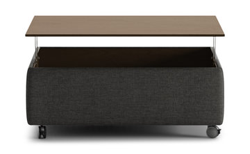 Functional Lift-top Storage Ottoman