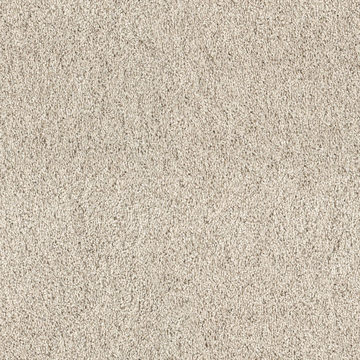 image Anderson Tuftex Fan Favorite - Neutral