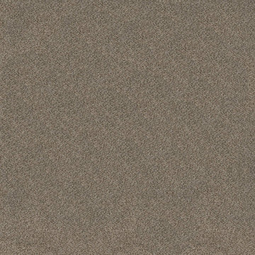 image Shaw Trusplendor - Truffle