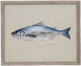 Catch Of The Day - Sockeye Salmon thumbnail 1