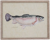 Catch Of The Day - Rainbow Trout thumbnail 1
