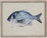 Catch Of The Day - Bluegill thumbnail 1
