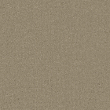 image Shaw Canvas Comfort Blue - Honey Tea