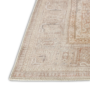 Kars Biscotti 5′0″ x 7′6″ Area Rug