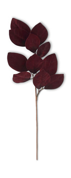 image Magnolia Leaf Spray