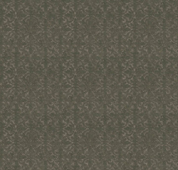 Shaw Light Impressions - Rerooted Nature