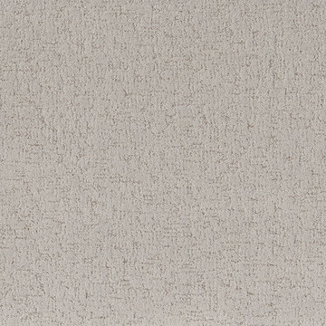 Shaw Run Free - Cashmere