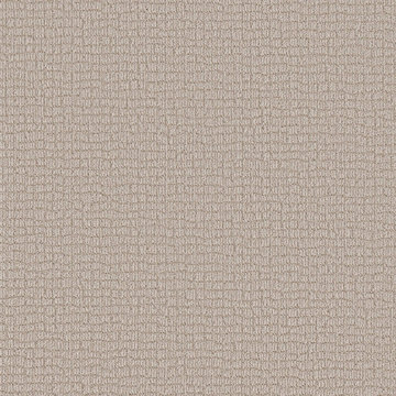 Shaw Path Home - Subtle Clay