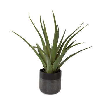 image Tucson Aloe Planter
