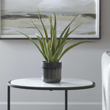 Tucson Aloe Planter thumbnail 2