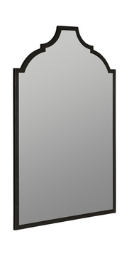 Geneva Mirror