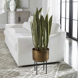 Fasita Planter thumbnail 3