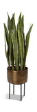 Fasita Planter thumbnail 1