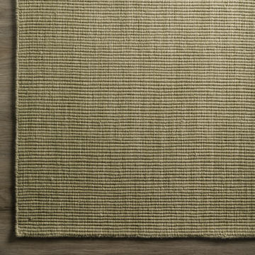 Monaco Aloe 3′6″ X 5′6″ Area Rug