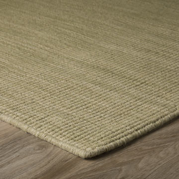Monaco Aloe 3′6″ X 5′6″ Area Rug