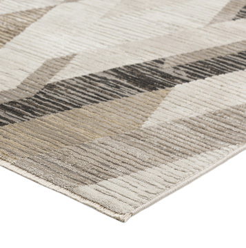 Denizi Putty 3′3″ x 5′3″ Area Rug