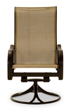 Shoreline Swivel Rocker Chair - Rich Earth