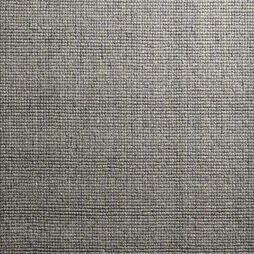 Monaco Ash Area Rug - 2′0″ x 3′0″