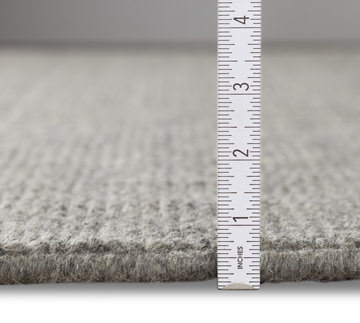 Monaco Ash Area Rug - 2′0″ x 3′0″