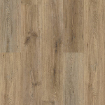 image Shaw Endura Plus - Wild Dunes