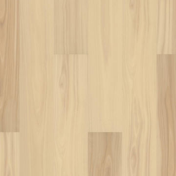 image Shaw Pantheon HD+ Natural Bevel - Marzipan
