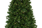 Waterville Pine 7.5′ Artificial Christmas Tree with 600 Warm White LED Lights thumbnail 2