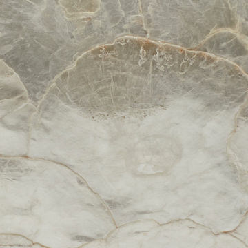 Capiz Elongated Oval Bowl