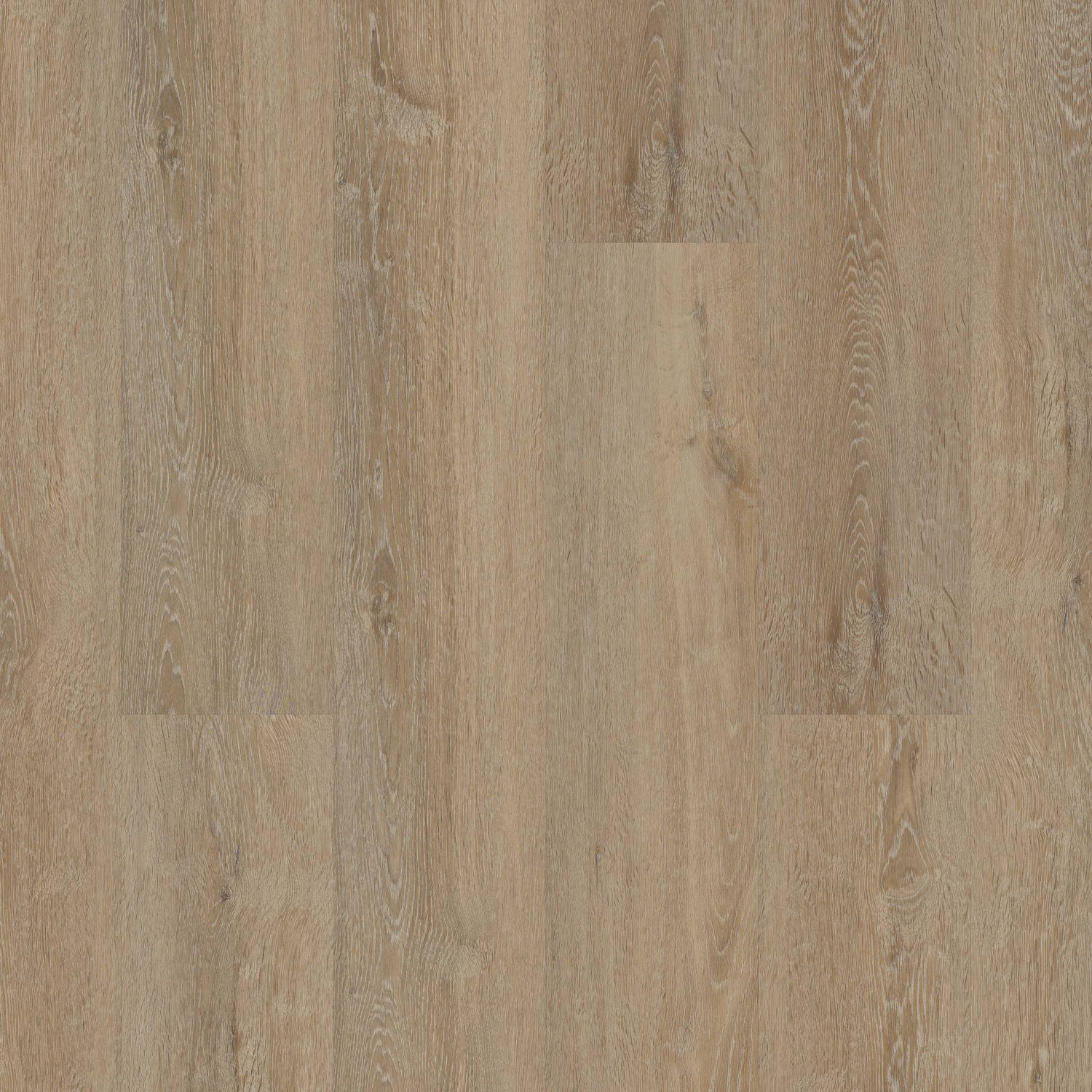 Coretec Premium Draco Oak