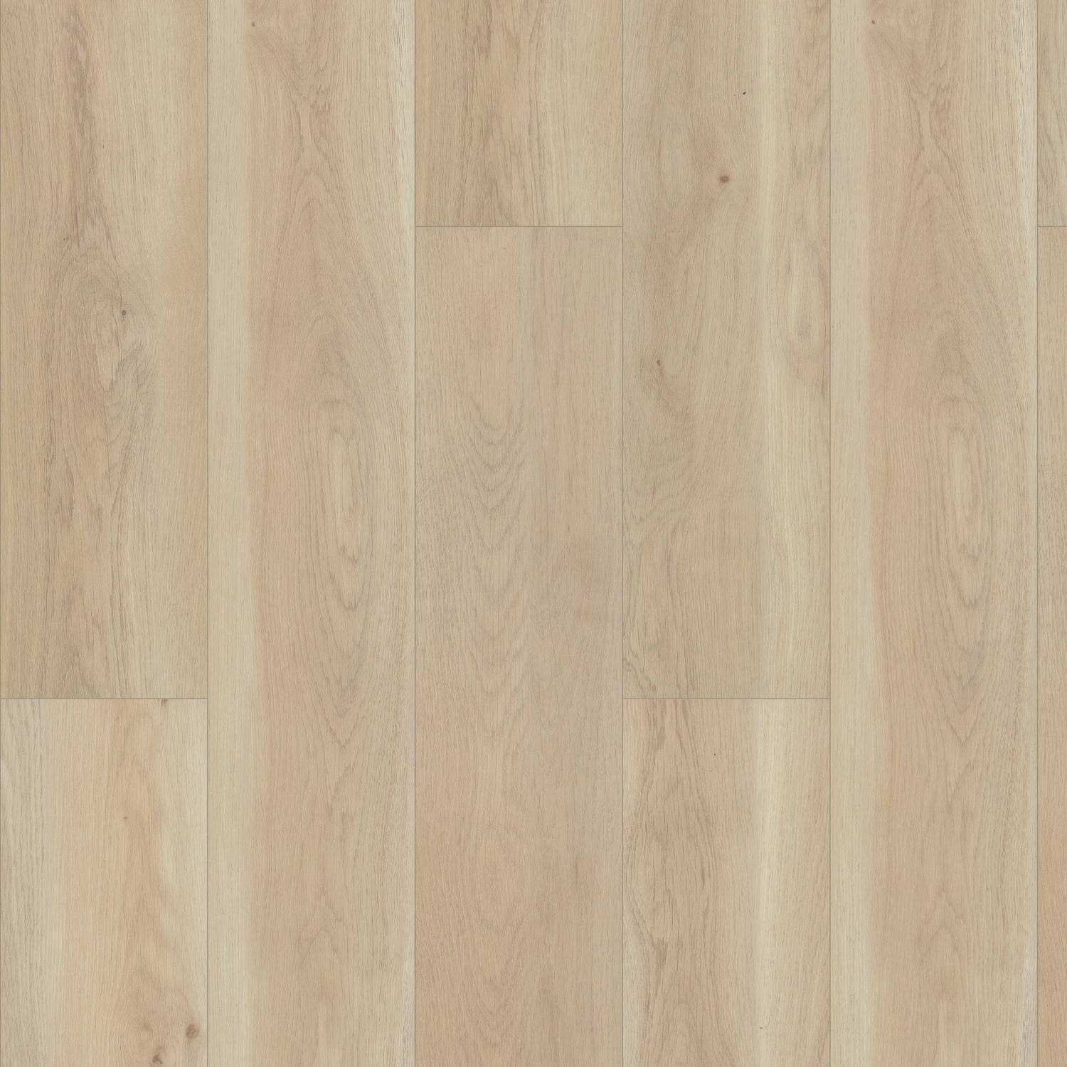 Shaw Paragon HD+ Natural Bevel - Cambridge