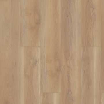 image Shaw Paragon HD+ Natural Bevel - Edgemont