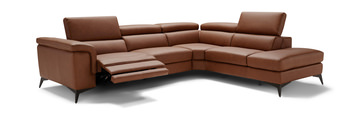 Alfa 2 Piece Leather Sectional - Right Chaise