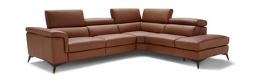Alfa 2 Piece Leather Sectional - Right Chaise