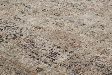 Caprio Sand - 3′9″ x 5′9″ Area Rug