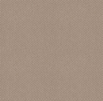 Shaw Cathedral Hill II - Cake Batter