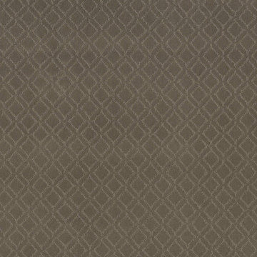 Anderson Tuftex Muse - Dash