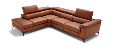 Alfa 2 Piece Leather Sectional - Left Chaise